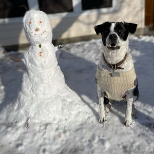 Meet your Posher, Karla